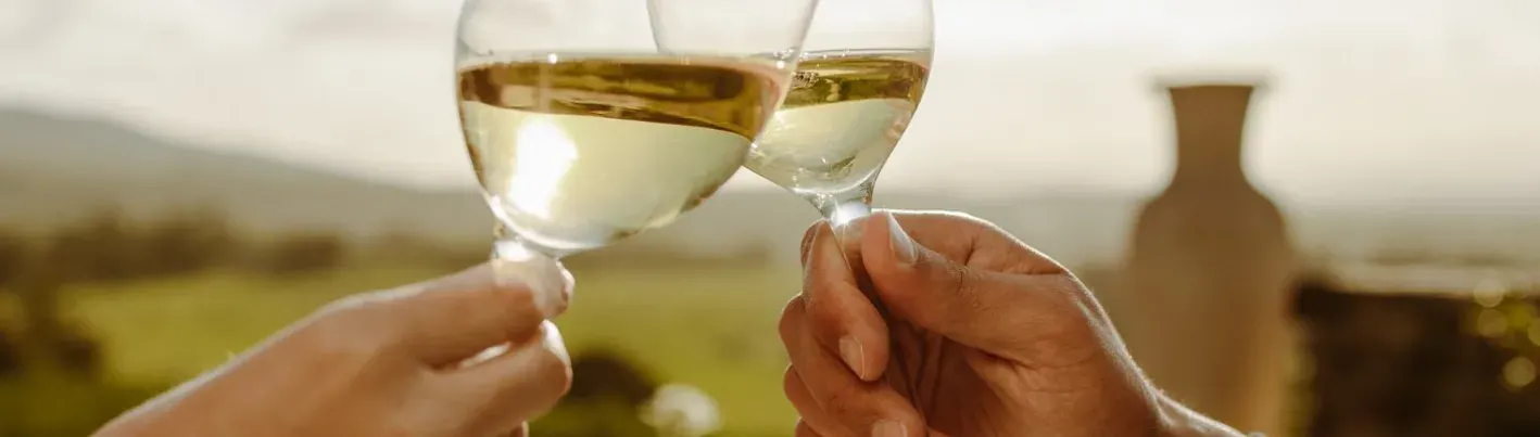 Découvrez les vins de l'Appellation d'Origine Empordà