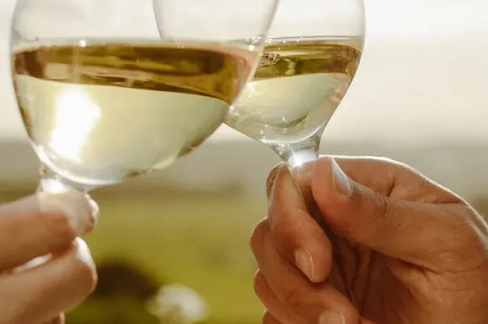 Descubre los vinos de la Denominación de Origen Empordà