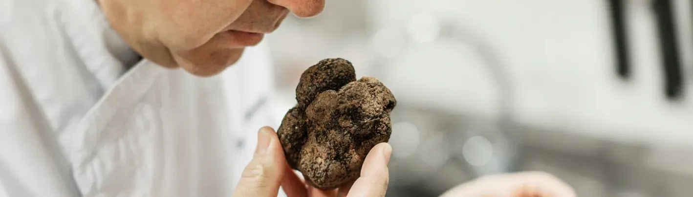 Restaurantes con estrella Michelin en la provincia de Gerona