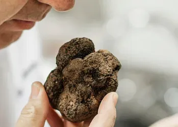 Restaurantes con estrella Michelin en la provincia de Girona