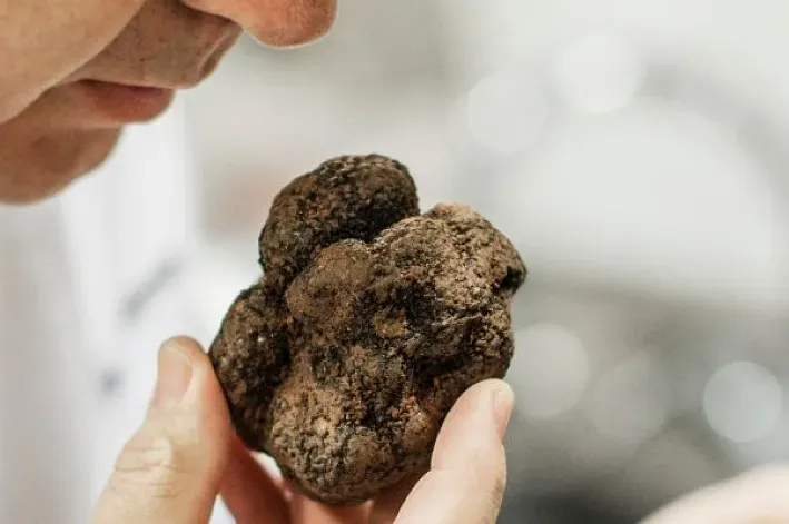 Restaurants étoilés Michelin dans la province de Girona