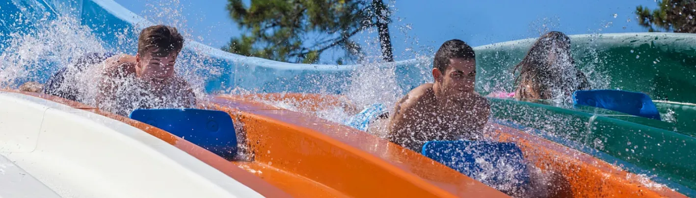 Le meilleur loisir pour enfants et adultes