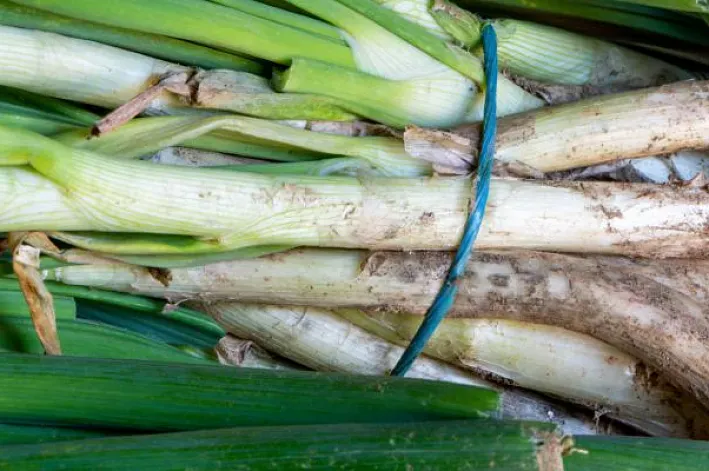 ¿Cómo hacer una calçotada?
