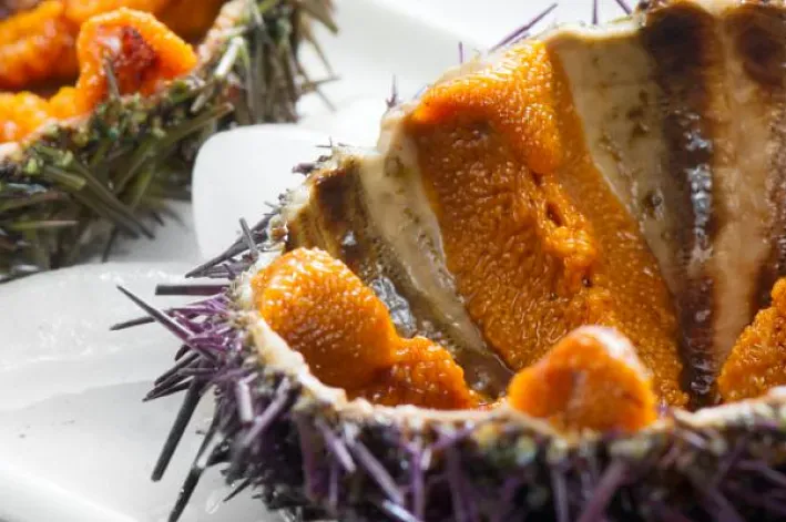 Productos de mar de la Costa Brava