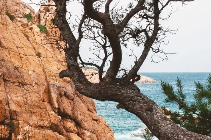 Descubre la vía ferrata Cala del Molí