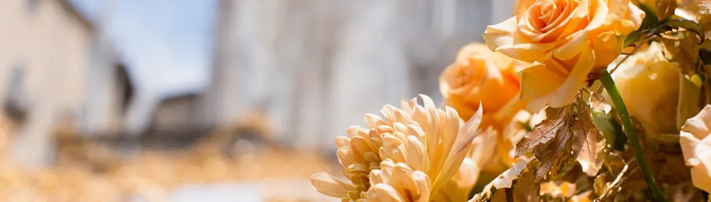Temps de Flors: el estallido de la primavera en Girona