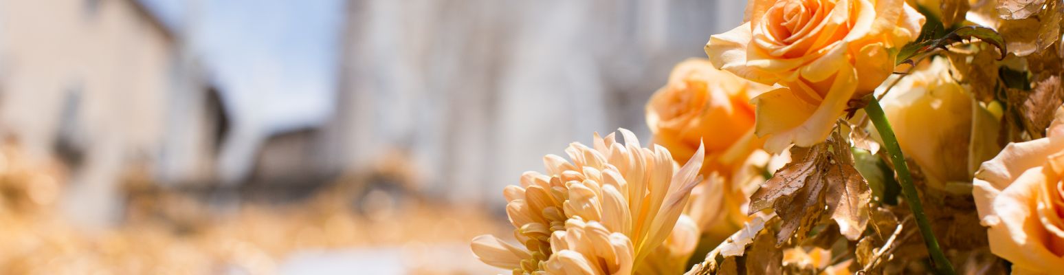 Temps de Flors : l'explosion du printemps à Girona