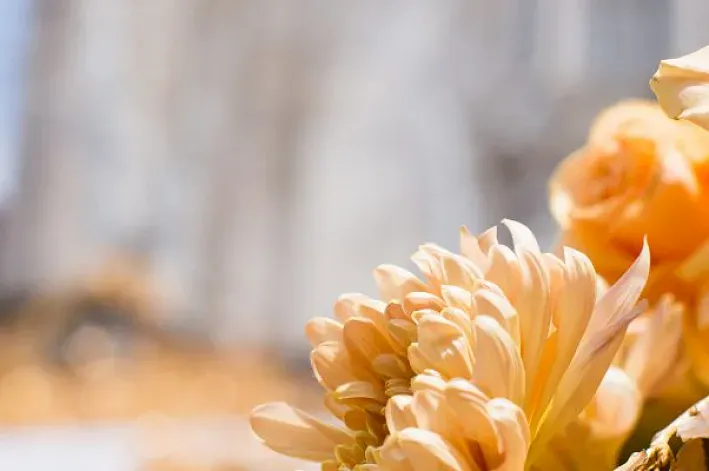 Temps de Flors: начало весны в Жироне