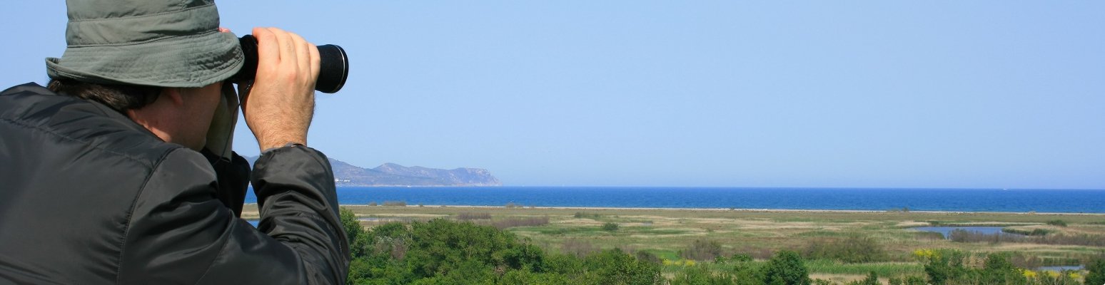 Profitez de la nature dans les Aiguamolls de l’Empordà