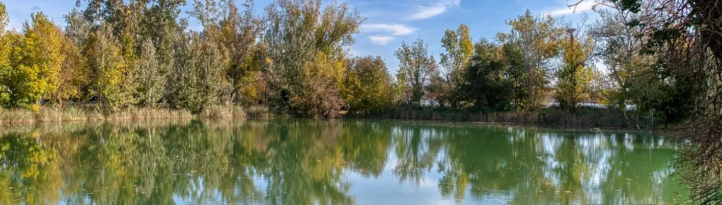 Tutto quello che devi sapere prima di visitare l'Estany de Banyoles