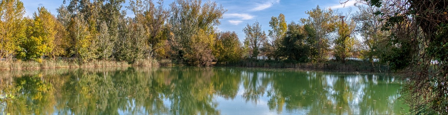 Todo lo que necesitas saber antes de visitar el Estany de Banyoles