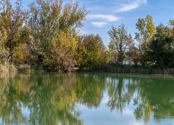 Todo lo que necesitas saber antes de visitar el Estany de Banyoles