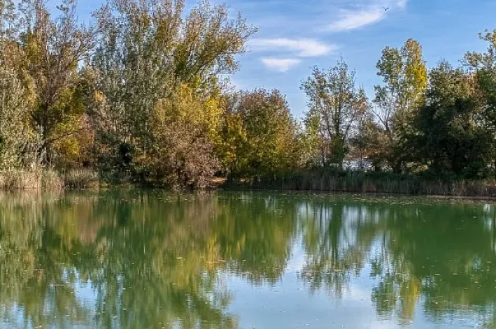 Everything you need to know before visiting the Estany de Banyoles