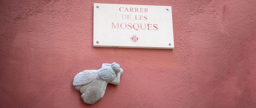 via delle mosche sant narcis girona