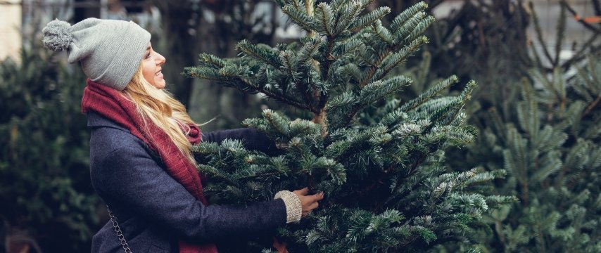 Feria del Abeto de Espinelves