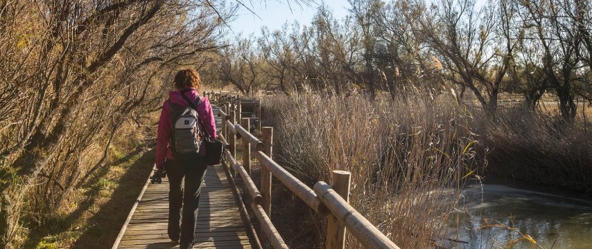 Parc naturel des Aiguamolls de l’Empordà